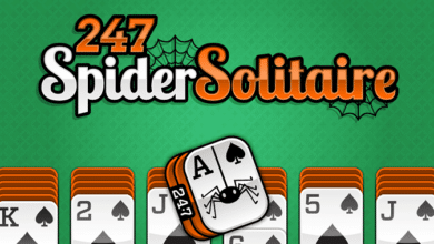 247 Spider Solitaire